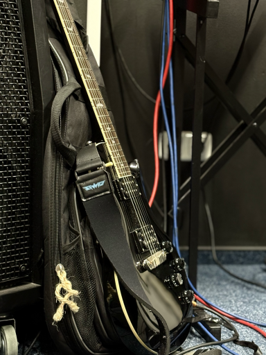 Roberts E-Gitarre